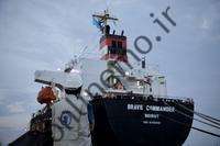 WFP: اولین محموله غلات بشردوستانه اوکراینی عازم شاخ آفریقا شد |