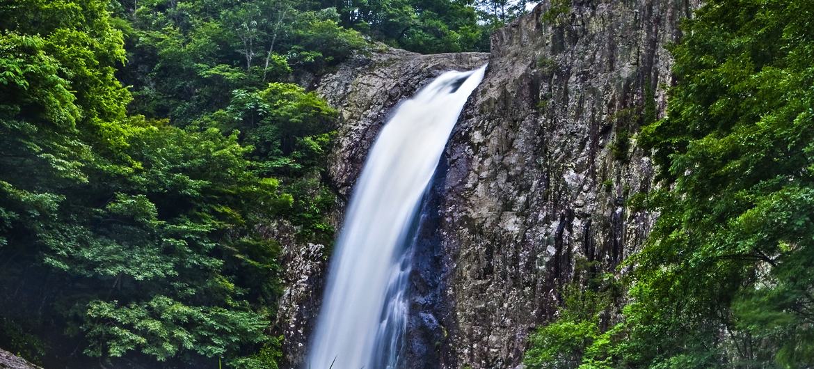 آبشار واتاگاتاکی در تنگه تدوری، ژاپن. 